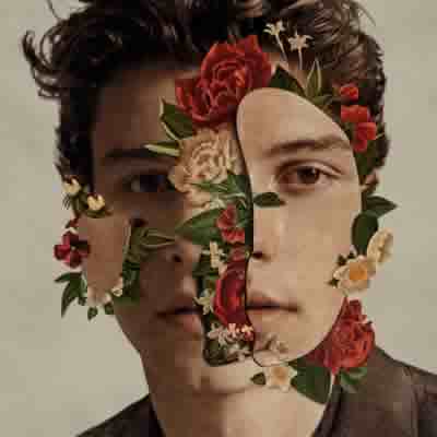 CD - Shawn Mendes